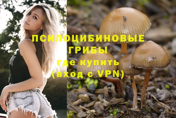 крисы Ростов