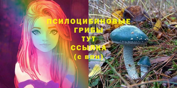 ALPHA-PVP Рославль