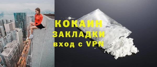 крисы Ростов