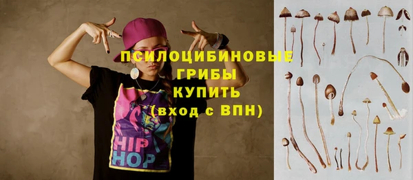 прущие крисы Абаза