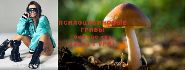 прущие крисы Абаза